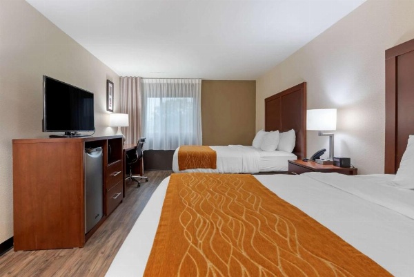 Comfort Inn Binghamton I-81 image 10