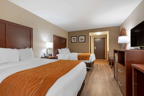 Comfort Inn Binghamton I-81 image 11