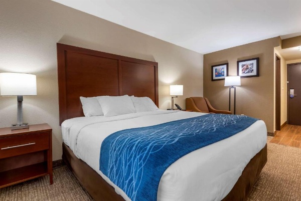 Comfort Inn Binghamton I-81 image 12