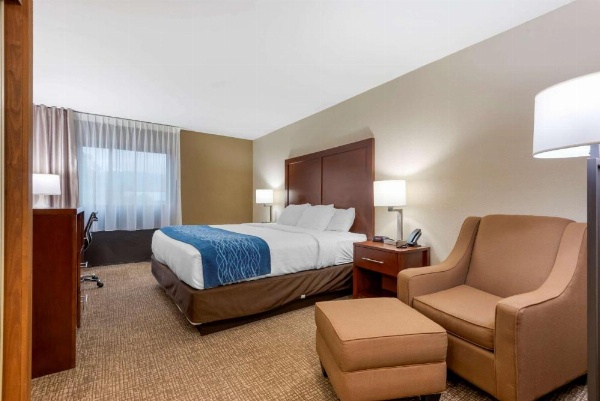 Comfort Inn Binghamton I-81 image 13