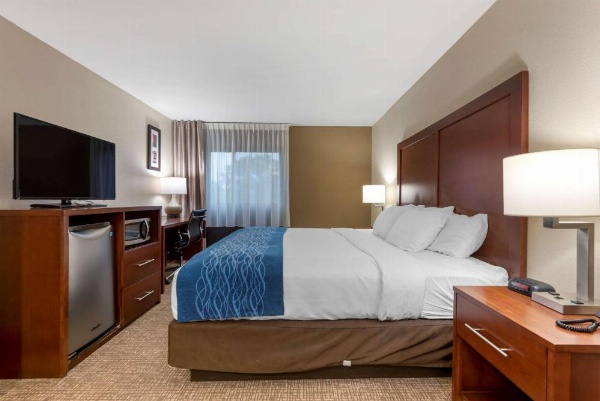 Comfort Inn Binghamton I-81 image 14