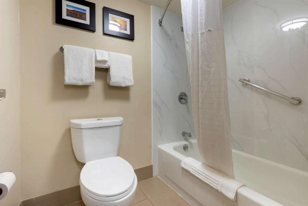 Comfort Inn Binghamton I-81 image 15