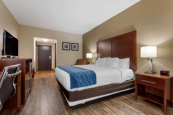 Comfort Inn Binghamton I-81 image 18