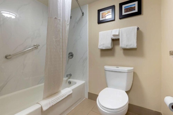 Comfort Inn Binghamton I-81 image 19