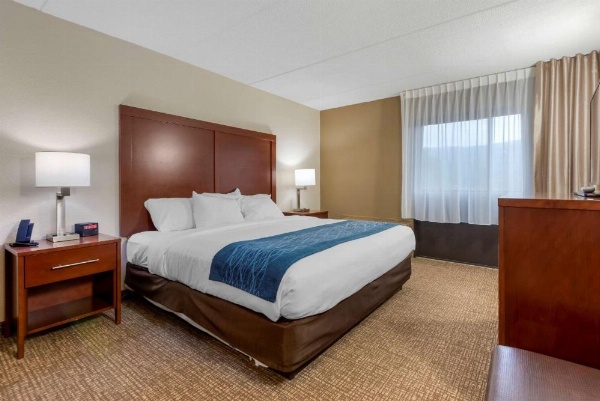Comfort Inn Binghamton I-81 image 20