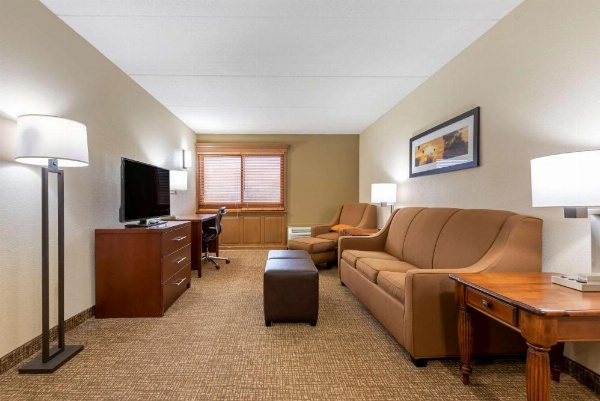 Comfort Inn Binghamton I-81 image 22