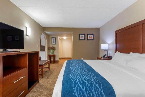 Comfort Inn Binghamton I-81 image 24