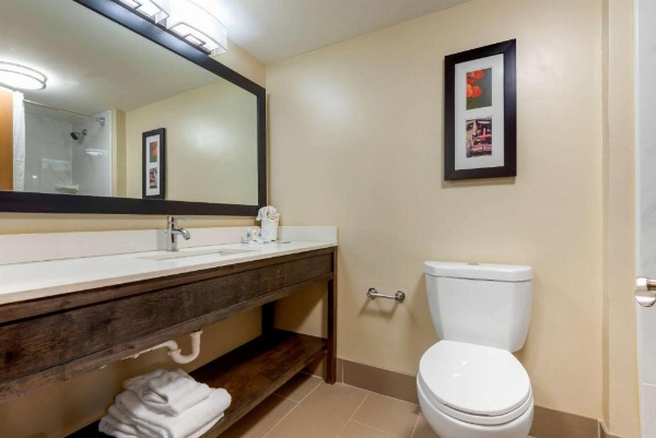 Comfort Inn Binghamton I-81 image 25