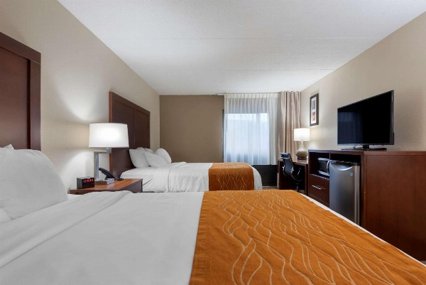 Comfort Inn Binghamton I-81 image 7