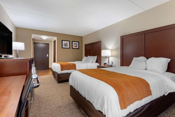 Comfort Inn Binghamton I-81 image 8