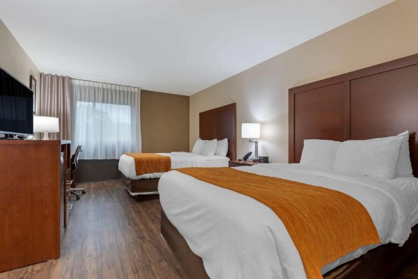 Comfort Inn Binghamton I-81 image 9